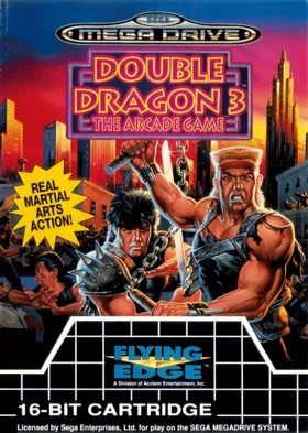 Double Dragon 3 - The Arcade Game (USA, Europe) box cover front